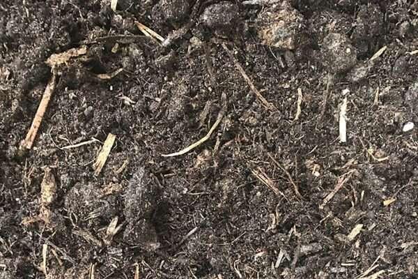 bodemverbeteraars biochampost jkvddoolbv 600x400