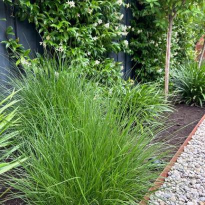 Kantopsluiting cortenstaal 2 mm 16½ cm x 3 mtr**