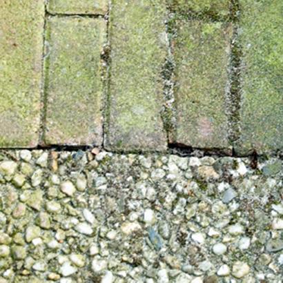 Green EX groenverwijderaar 1 liter**