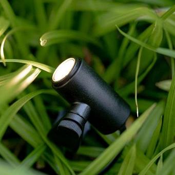 Micro Scope**