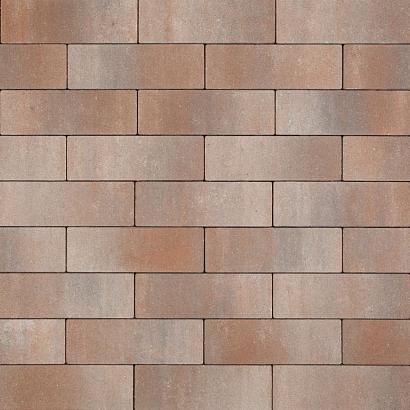 Smartton Kilimanjaro