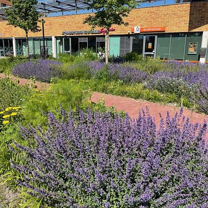 Vasteplanten substraat basis mini bag (L/N-3721)*+