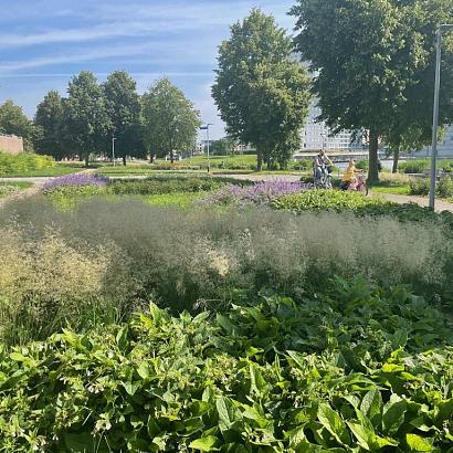 Vasteplanten substraat basis mini bag (L/N-3721)*+