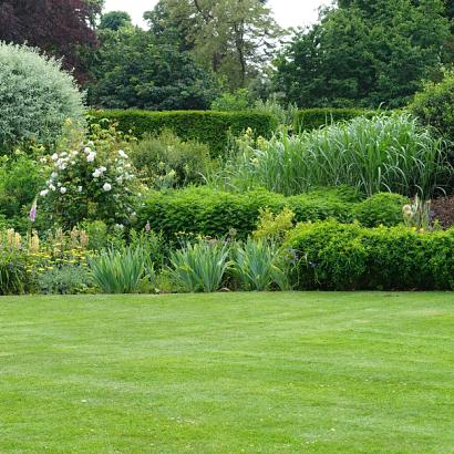 Graszaad schaduwgazon Ombra (750 m²) 15 kg