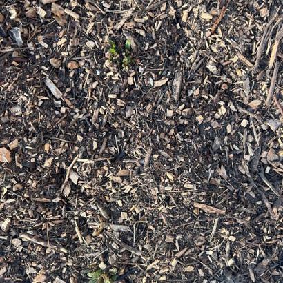 Biologische houtmulch