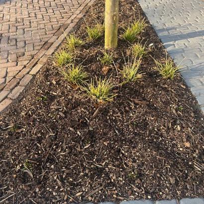 Biologische houtmulch