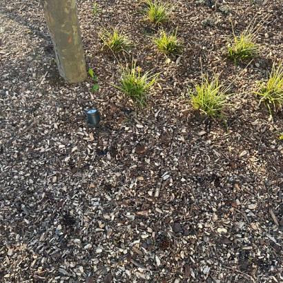 Biologische houtmulch