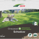 Graszaad schaduwgazon Ombra (750 m²) 15 kg